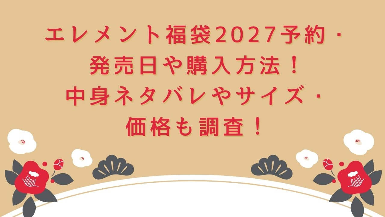 2027年のエレメント福袋の予約・発売日や購入方法に加えて、中身ネタバレやサイズ・価格情報もお伝えしています。